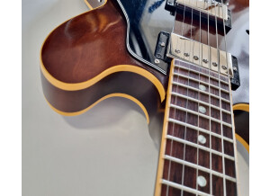 Gibson ES-333 (17356)