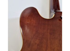 Gibson ES-333 (9670)
