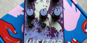Old Blood Noise Endeavors Visitor modulation chorus phaser tremolo