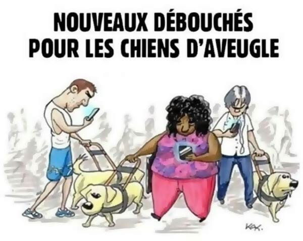 6001613.jpg 6001613.jpg