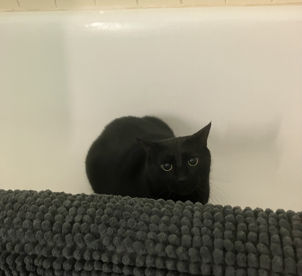 6002774.jpeg 6002774.jpeg