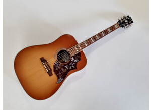 Gibson Hummingbird (50360)