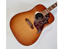Gibson Hummingbird (15141)