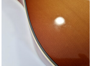 Gibson Hummingbird (83801)