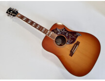 Gibson Hummingbird (25422)