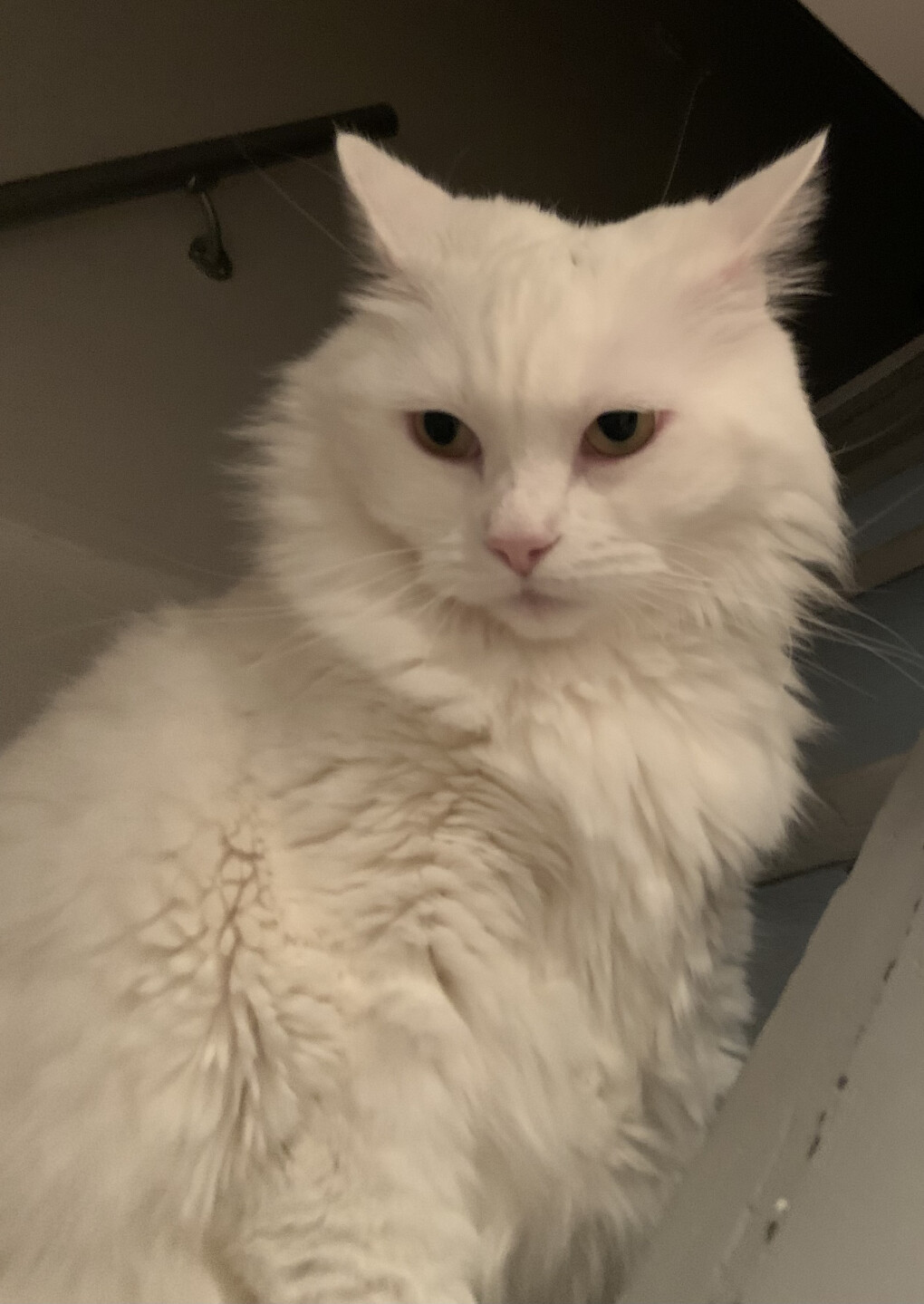 6003272.jpeg 6003272.jpeg