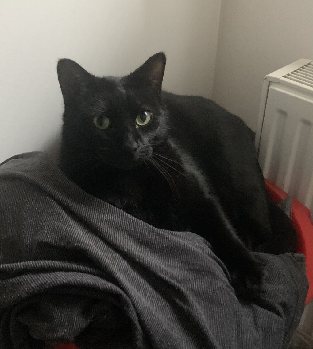 6003273.jpeg 6003273.jpeg