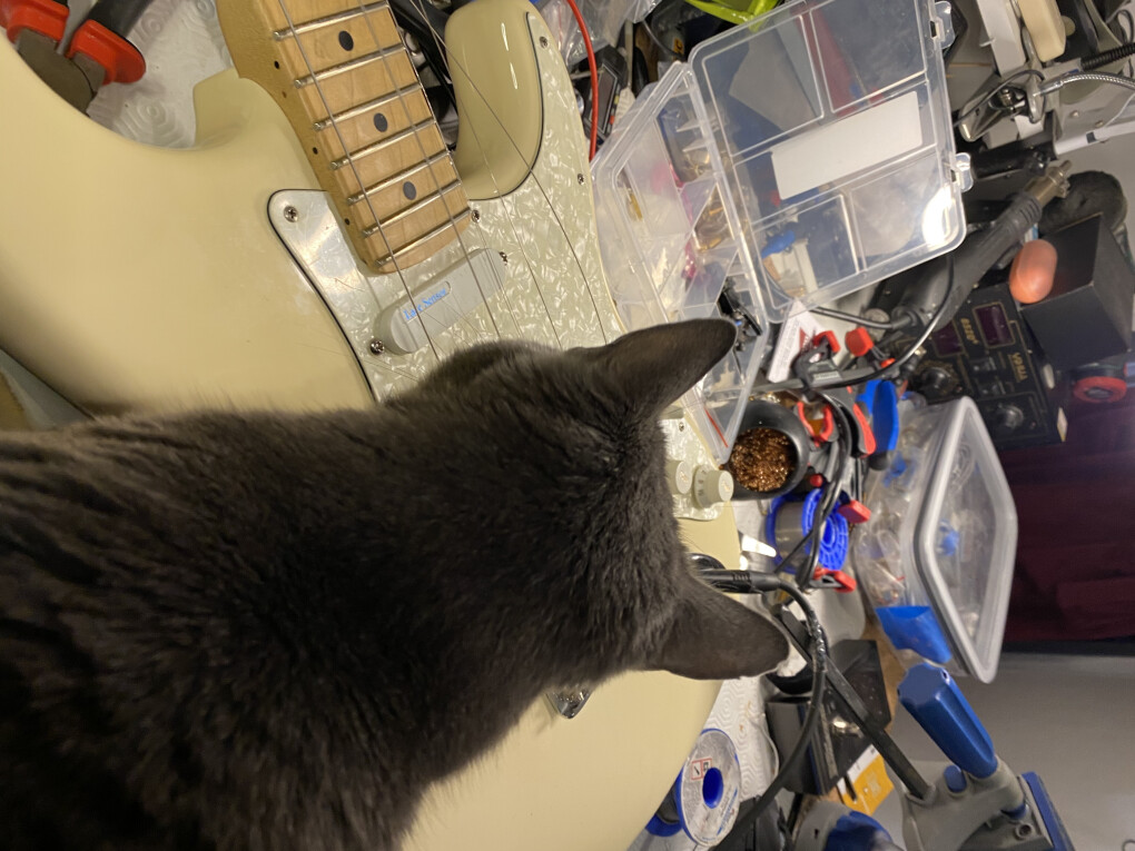 6003314.jpeg 6003314.jpeg