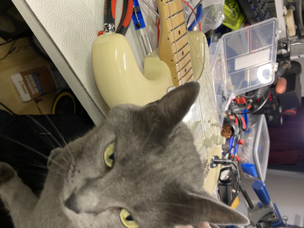 6003315.jpeg 6003315.jpeg