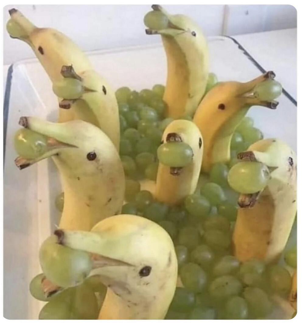 6004494.png 6004494.png