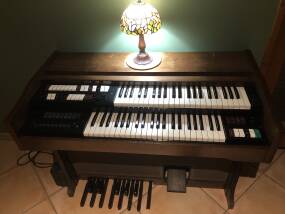 Lowrey TLO-R 1
