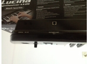 Roland Lucina AX-09-BK Black