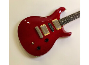 PRS Swamp Ash Special (54691)