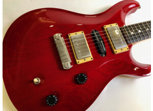 PRS Swamp Ash Special (68591)