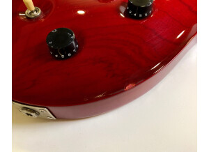 PRS Swamp Ash Special (94251)