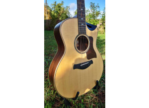 Taylor 816ce Builder's Edition