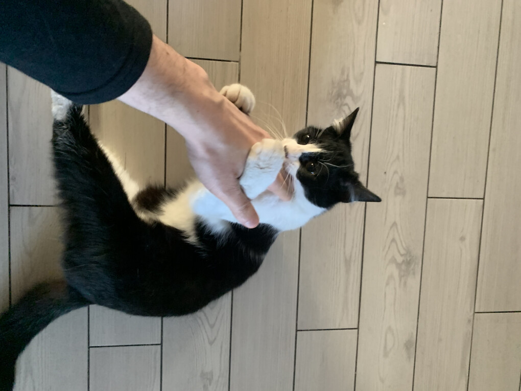 6008090.jpeg 6008090.jpeg