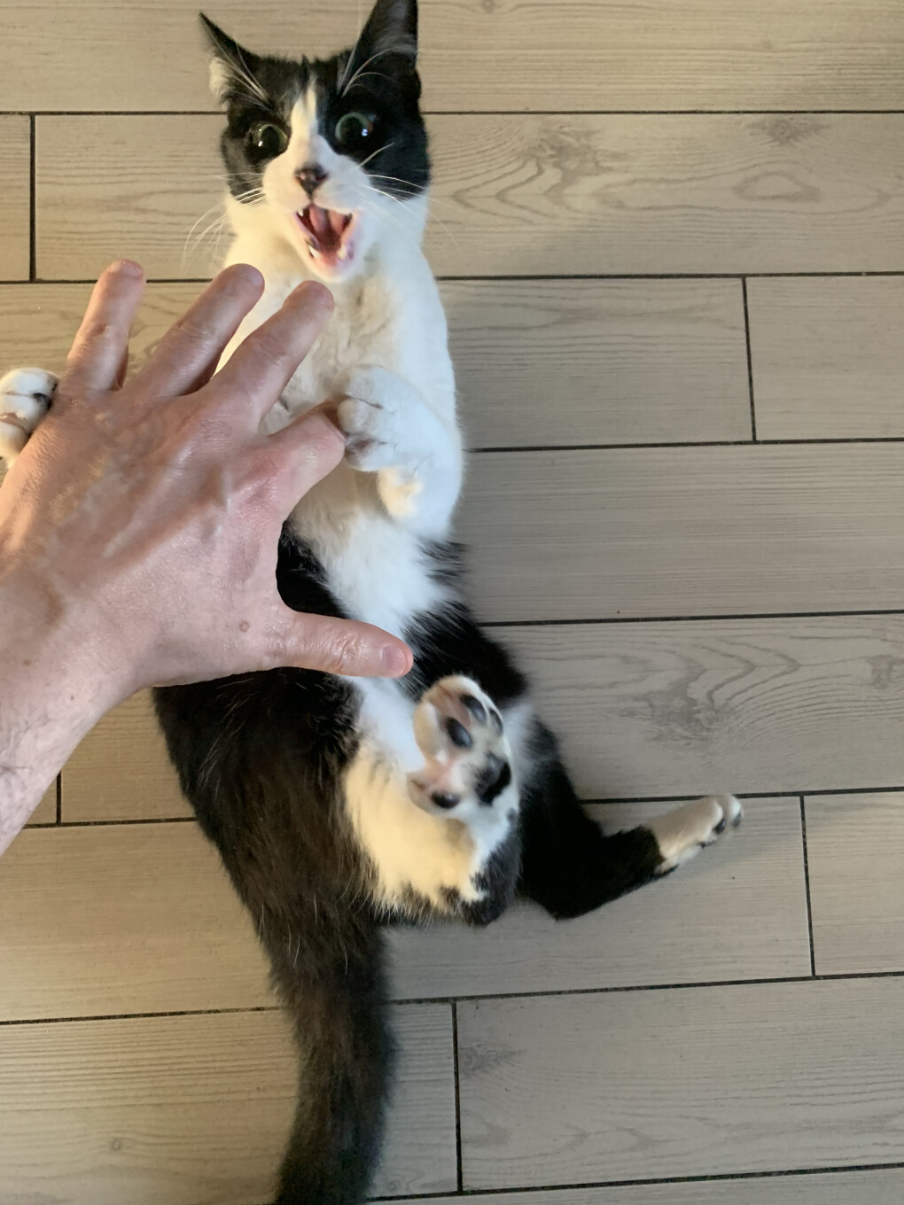 6008091.jpeg 6008091.jpeg