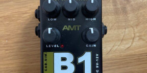 AMT B1