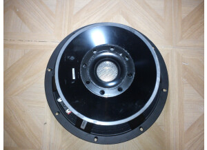 B&C Speakers 12TBX100 (51550)