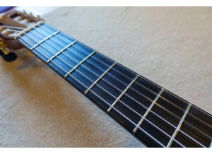 Alhambra Guitars CS-3 CW E8