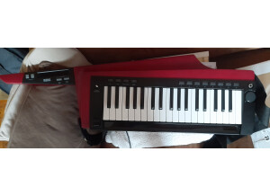 Korg RK-100S 2 (46222)