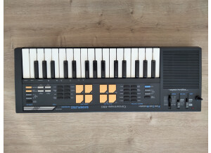 Casio SK-5 (50384)