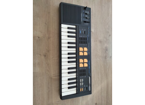 Casio SK-5 (99393)