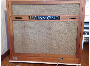 Hammond T200 Leslie (81604)