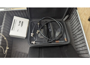 PXL 20240304 121945135.MP