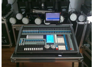 Avolites Avolites pearl tiger