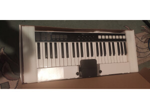 IK Multimedia iRig Keys I/O 49