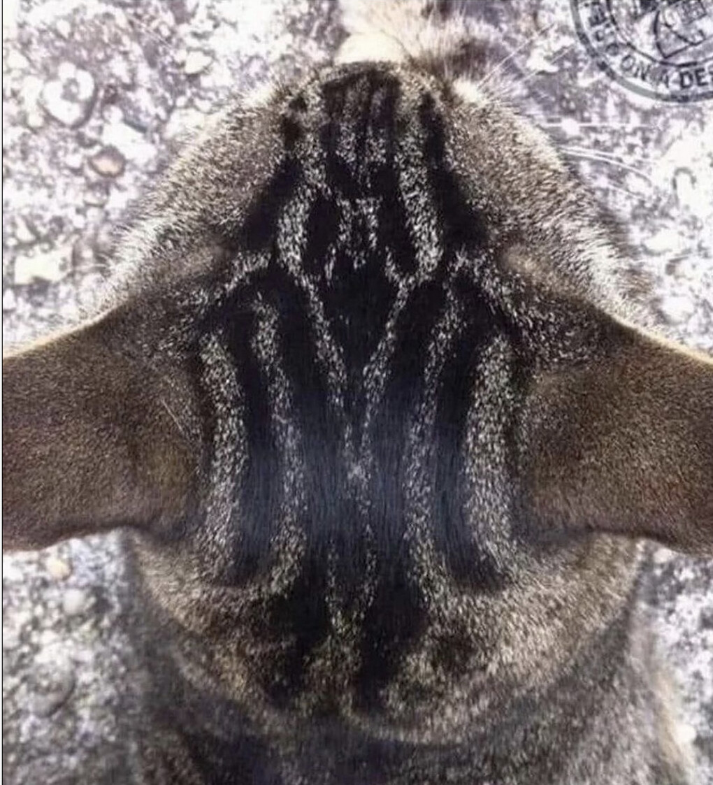 6010549.png 6010549.png