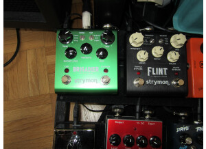 Strymon Flint (96400)