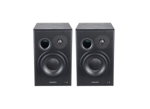 Dynaudio BM15A (54000)