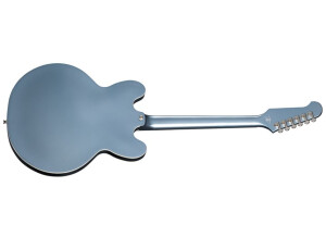 Dave Grohl DG-335REAR