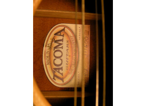 Tacoma Guitars DM9