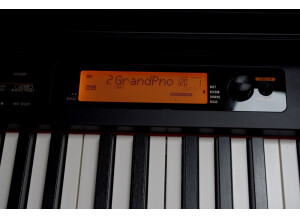 Casio CDP-S360 (44024)