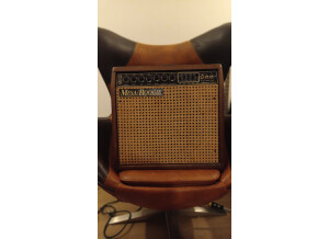 Mesa Boogie Mark III Combo Hardwood (923)
