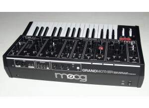 Moog Music Grandmother (45520)