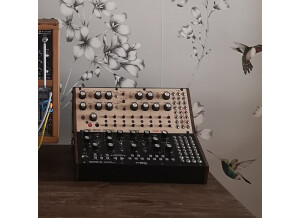 Moog Music DFAM (Drummer From Another Mother) (32300)