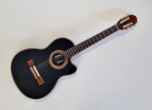 Gibson Chet Atkins CE/CEC (77895)
