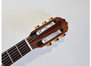 Gibson Chet Atkins CE/CEC (67371)