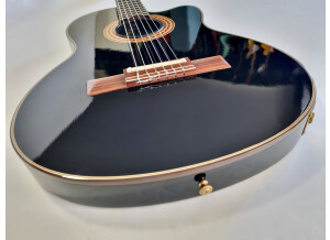 Gibson Chet Atkins CE/CEC (24435)