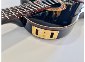 Gibson Chet Atkins CE/CEC (45357)
