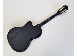 Gibson Chet Atkins CE/CEC (65446)