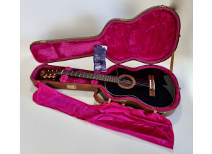 Gibson Chet Atkins CE/CEC (77718)