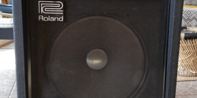 Ampli Basse Roland - Spirit bass 50 - Made in Japan (années 80).