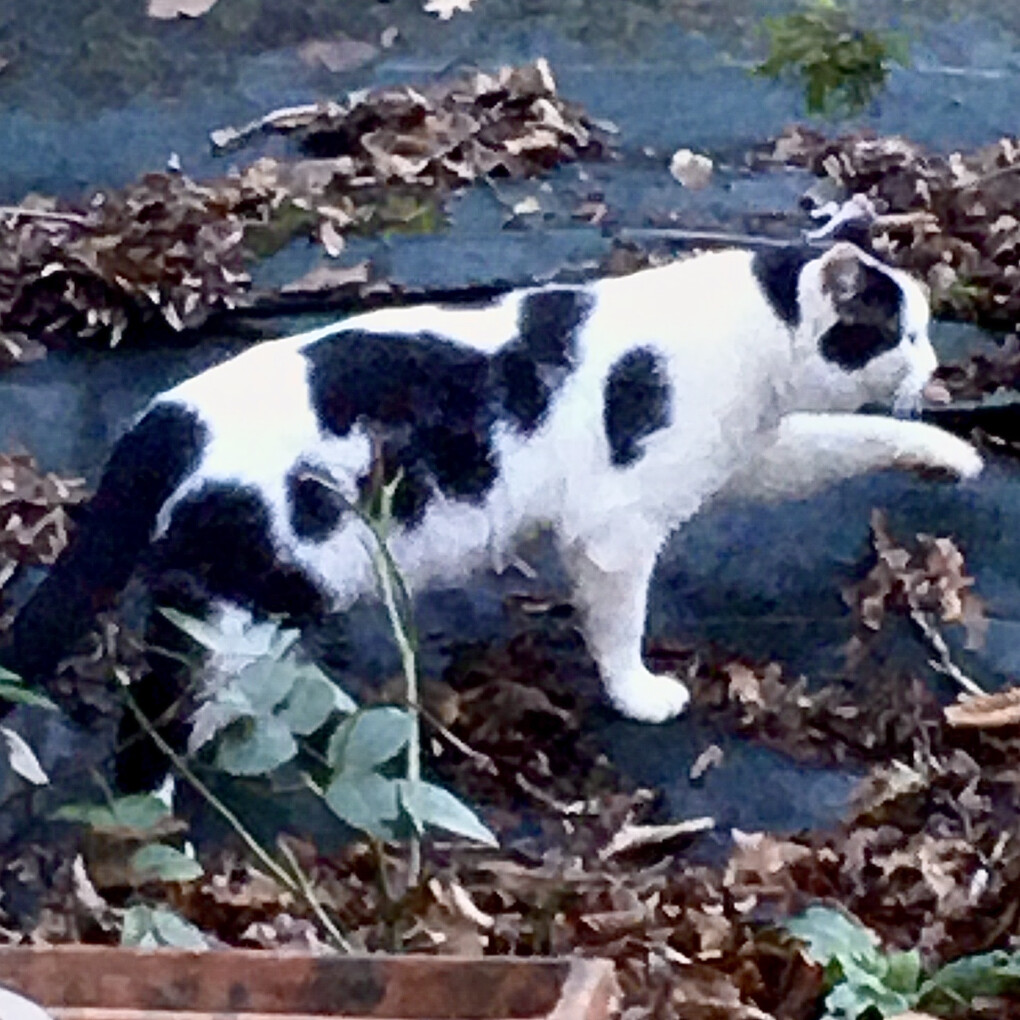 6015167.png 6015167.png