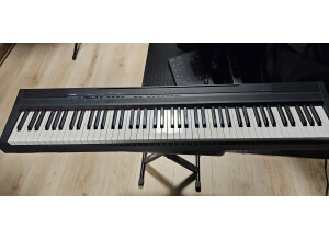 Yamaha P-105